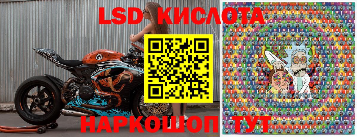 Наркотические марки 1,5мг  Наркотические марки 1,5мг  Сосновоборск  Марки 25I-NBOMe  Вход с VPN 